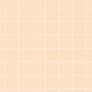 Meet your Posher, Summer